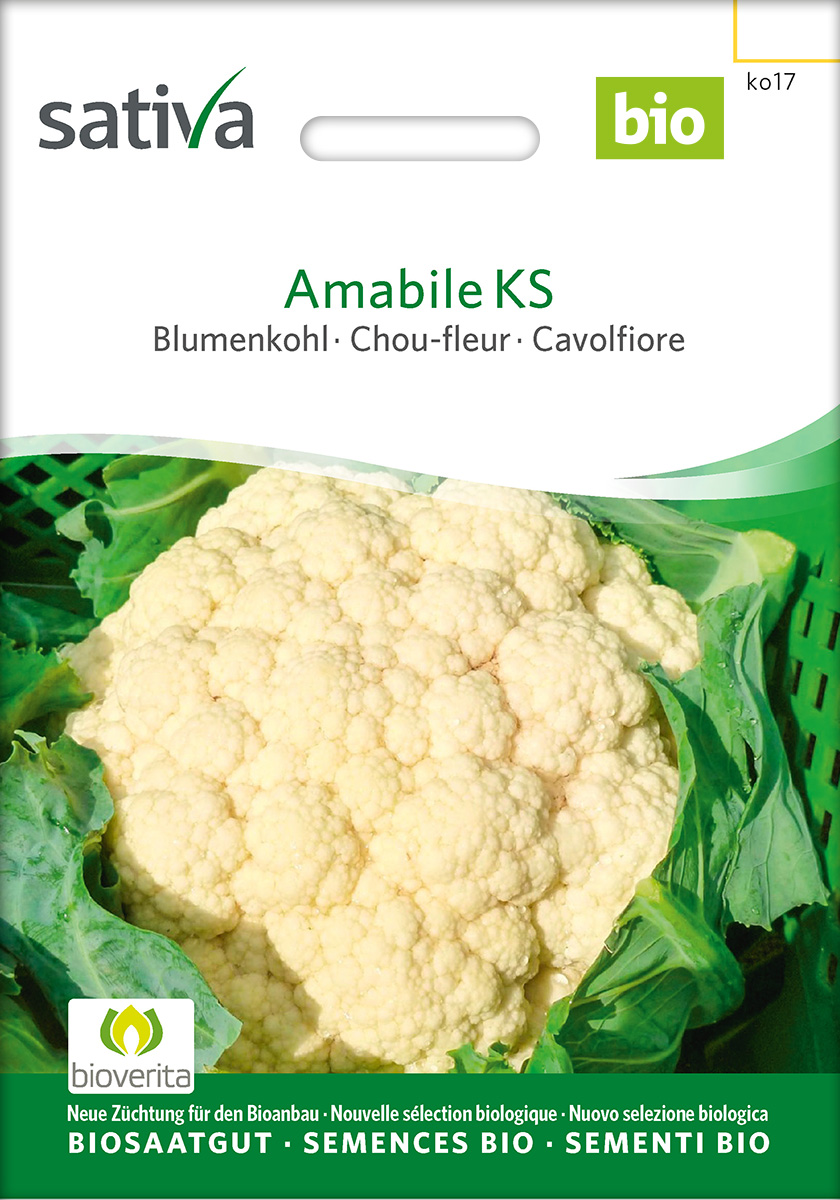 Blumenkohl Amabile KS BIO Samen