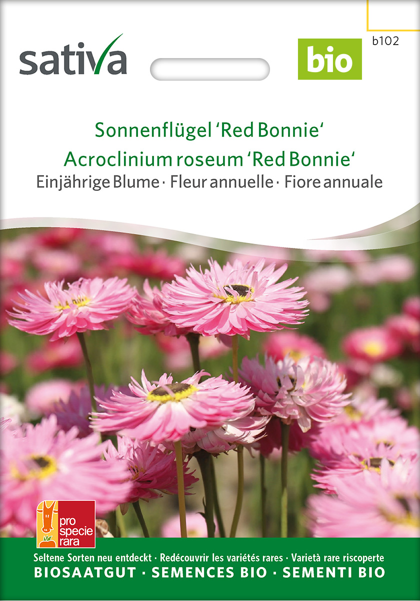 b102_sonnenfluegel_red_bonnie_bio_samen Sonnenflügel 'Red Bonnie' Bio Samen