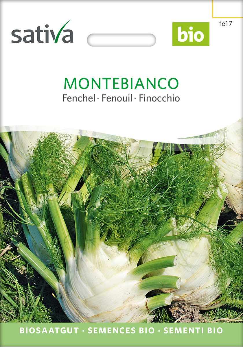 fe17_fenchel_montebianco_sat_39_bio_samen Fenchel 'Montebianco (SAT 39)', BIO Samen