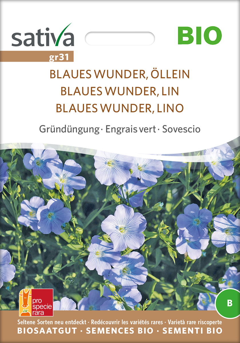 Blauer Lein/ Öllein BIO Samen / Gründüngung