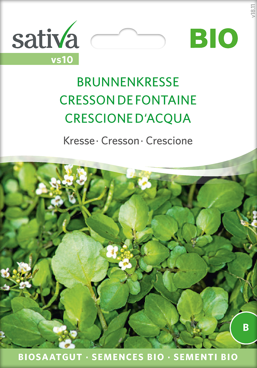 vs10-brunnenkresse-sativa-seeds-for-the-world Brunnenkresse