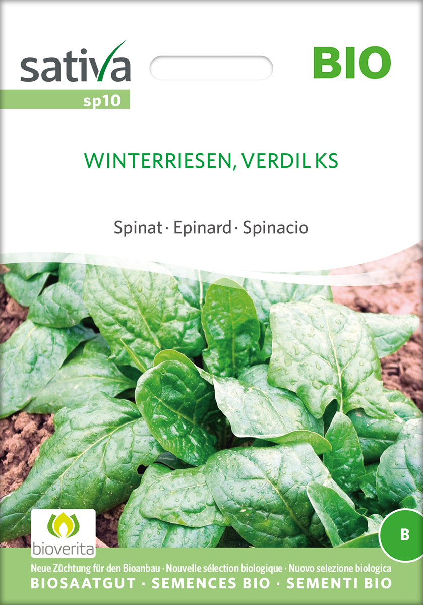 Spinat Winterriesen Verdil KS Samen