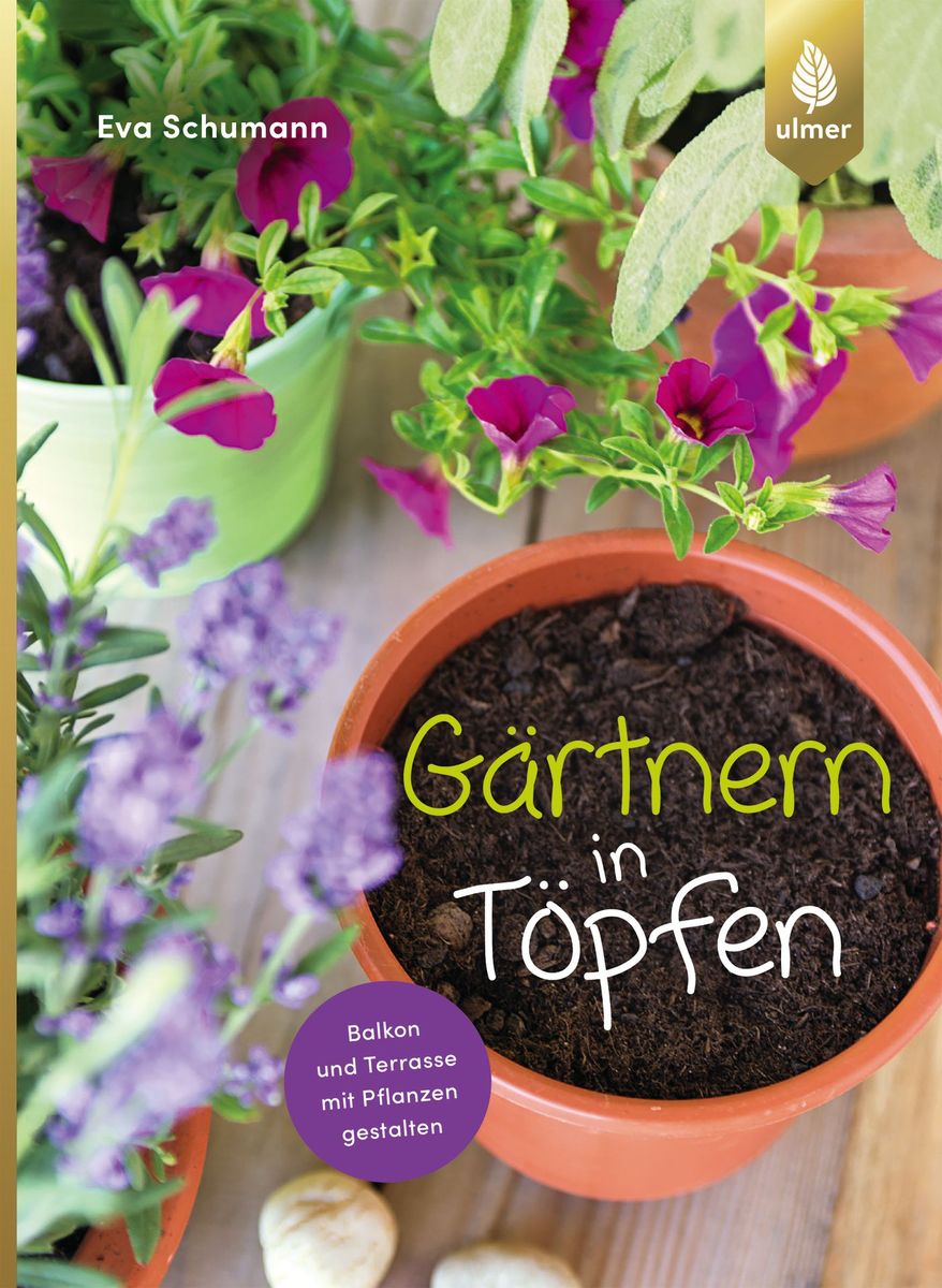 buecher-gaertnern-in-toepfen-978-3-8186-0635-0 Gärtnern in Töpfen, Eva Schumann