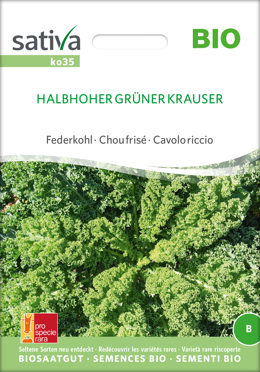 Grünkohl 'Halbhoher Grüner Krauser', Federkohl BIO Samen