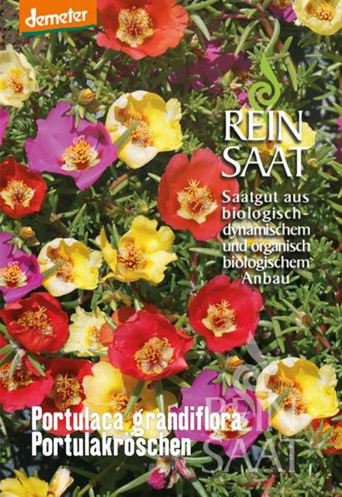 Portulakröschen Bio Samen