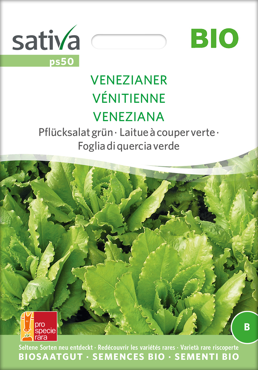 ps50_pfluecksalat_venezianer_bio_samen Pflücksalat Venezianer BIO Samen