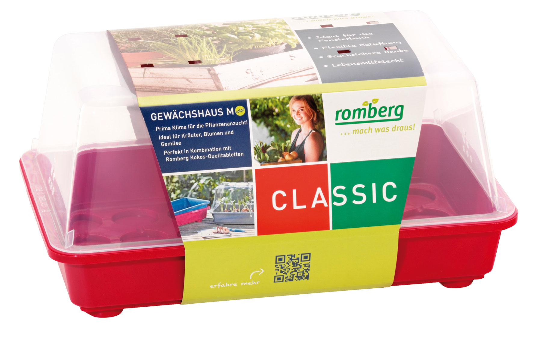 10094103_beere Gewächshaus Medium 38 x 24 x 19 cm Beere/ berry/ rot
