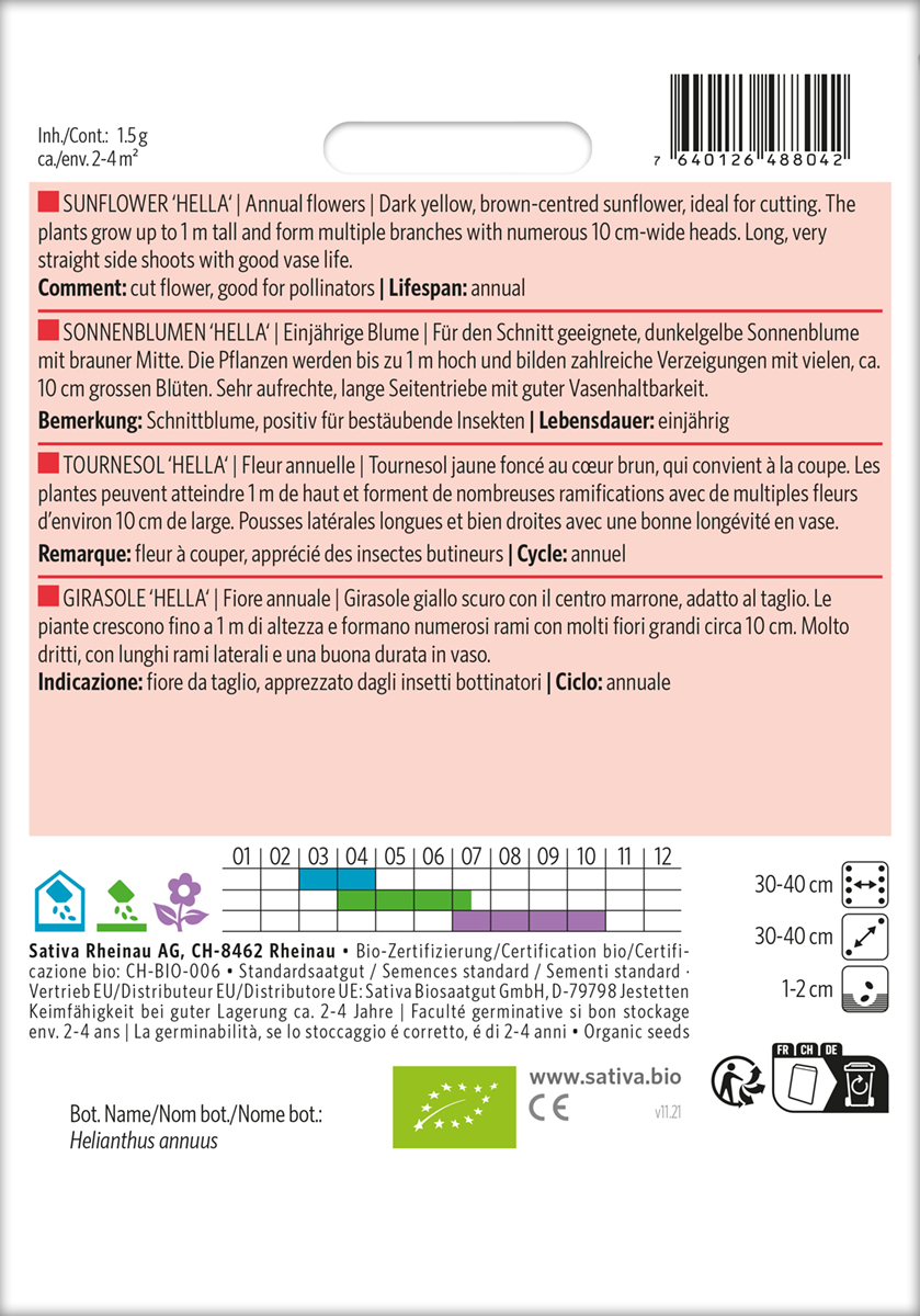 Sonnenblume Hella Biosaatgut