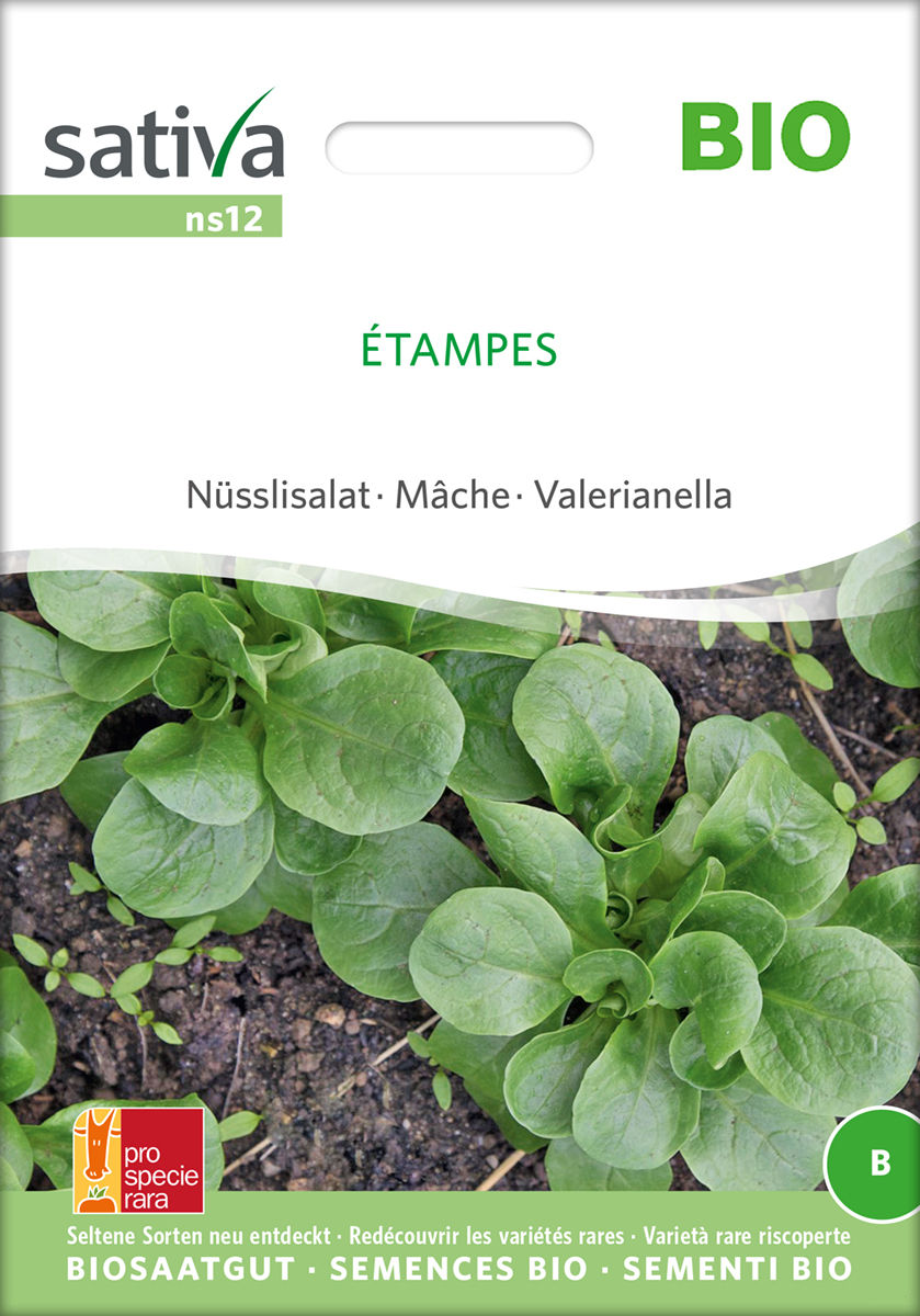 ns12_feldsalat_nuesslisalat_etampes_bio_samen Feldsalat, Ackersalat, Nüsslisalat Étampes Bio Samen