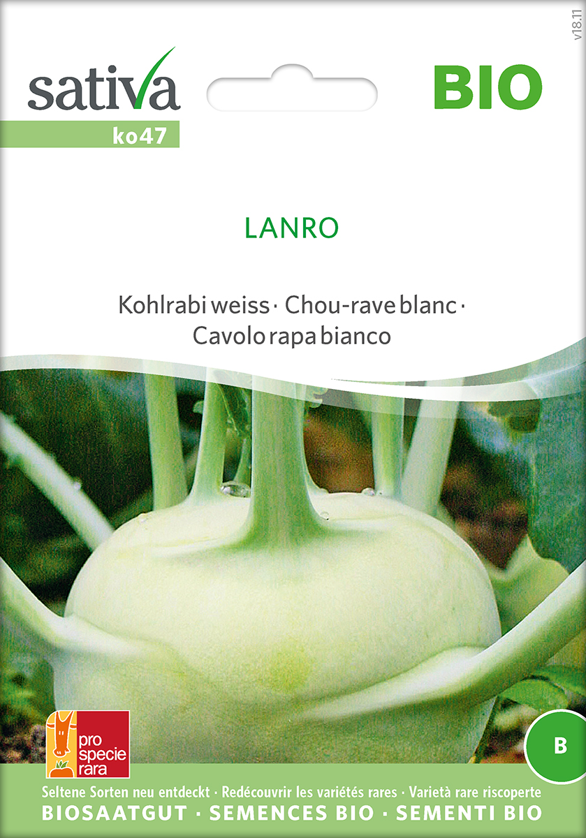 Kohlrabi Lanro Samen