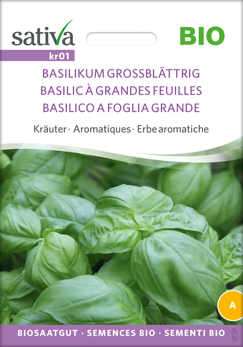 kr01-basilikum-grossblaettrig-bio-samen Basilikum Großblättrig BIO Samen
