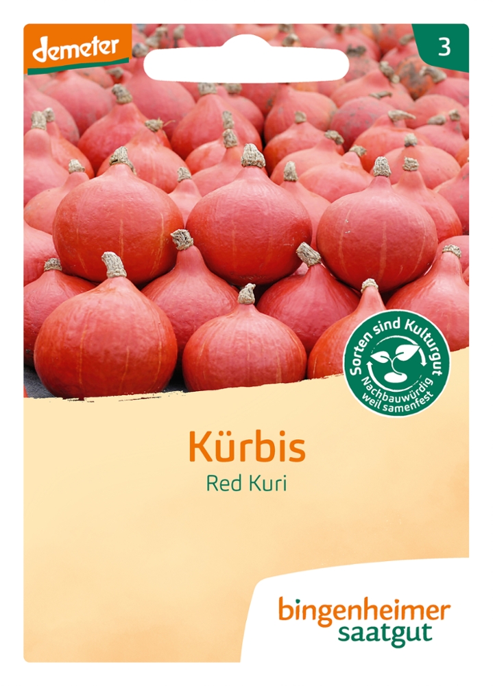 Kürbis Red Kuri Bio Samen