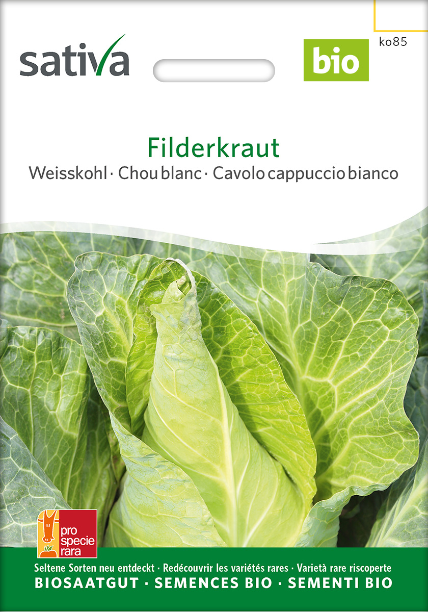 Weißkohl 'Filderkrautr' BIO Samen