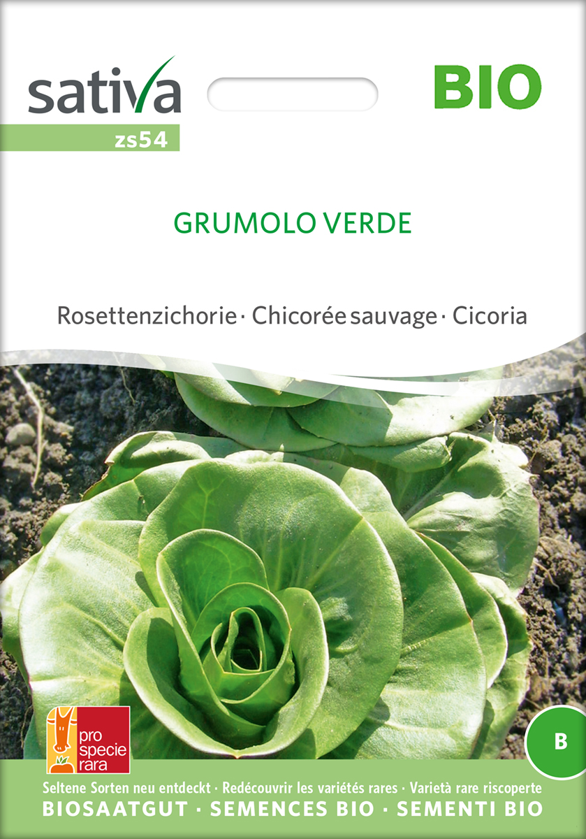 Grumolo Verde BIO Samen