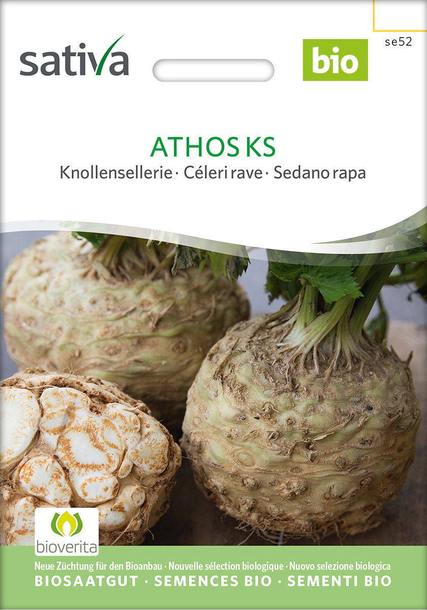 Sellerie 'Athos KS (SAT 325)', Knollensellerie, BIO Samen