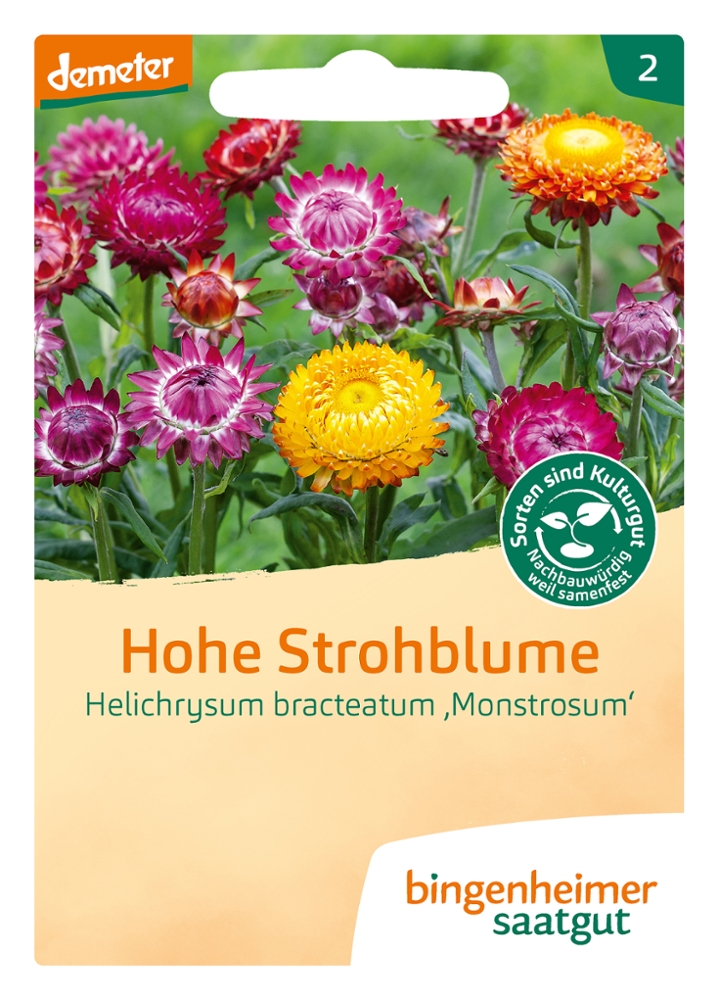 Hohe Strohblume BIO Samen