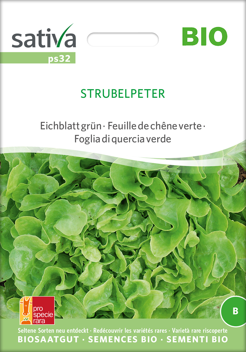 ps32_eichblattsalat_strubelpeter_bio_samen Eichblattsalat 'Strubelpeter' BIO Samen
