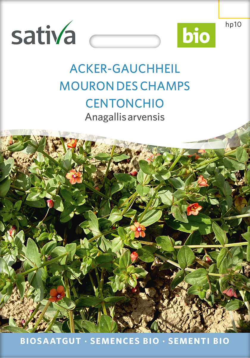 hp10_acker_gauchheil_bio_sameny11POs5fsdgfY Ackergauchheil Bio Samen