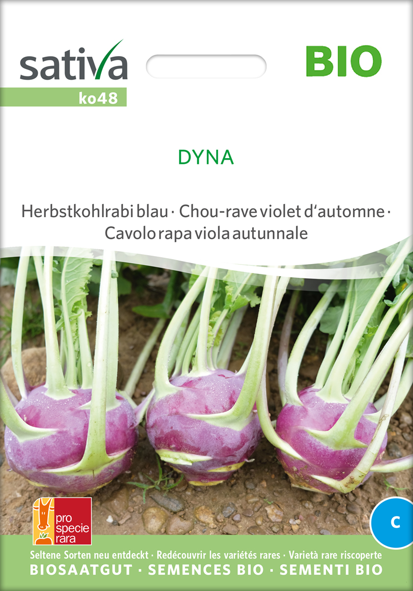 Kohlrabi Dyna Samen