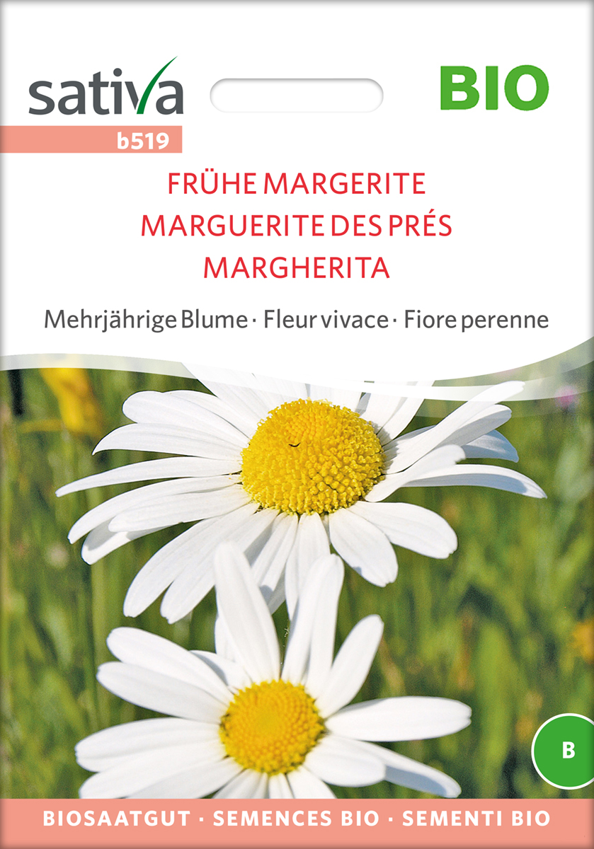 b519_fruehe_margerite_samen_bio Frühe Margerite - BIO Samen von Sativa