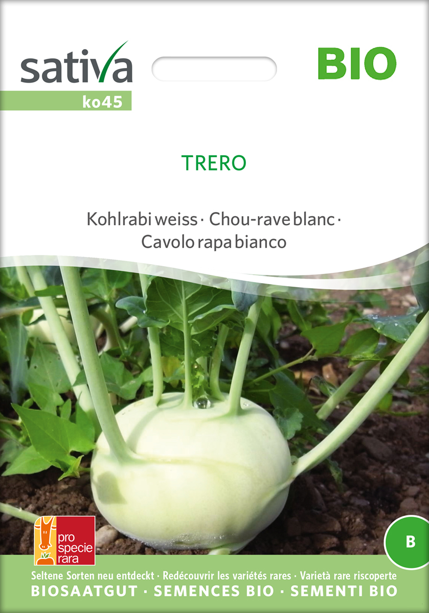 Kohlrabi Trero Bio Samen