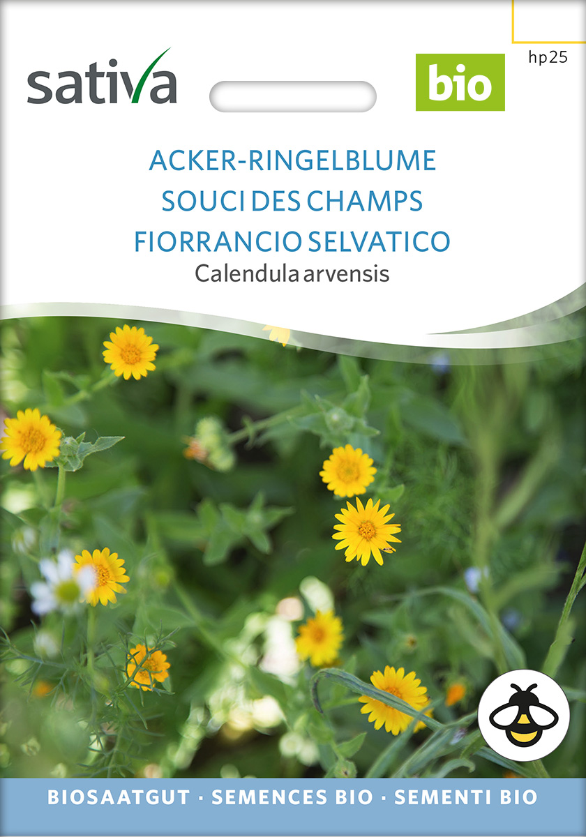 Acker - Ringelblume BIO Samen