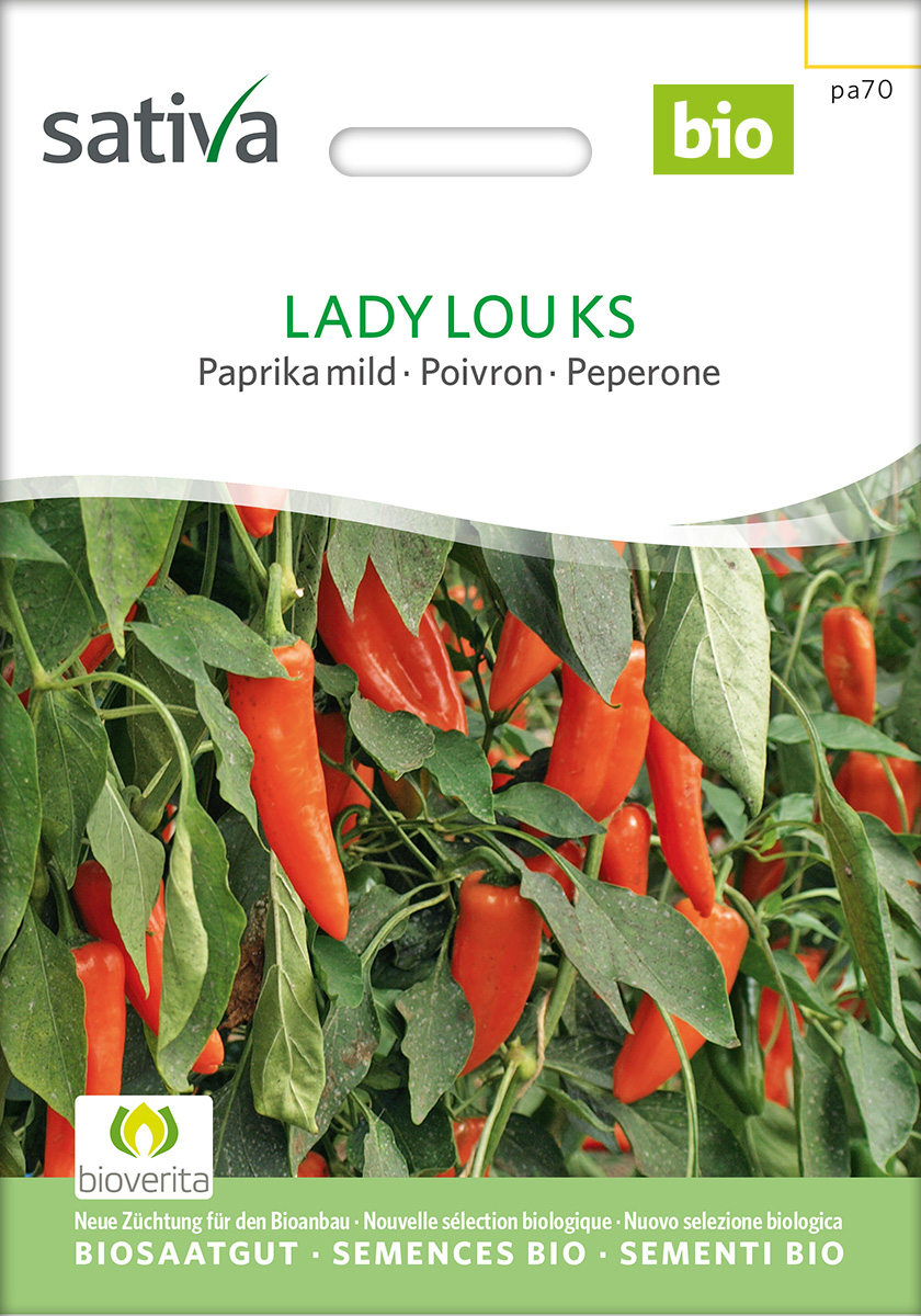 Paprika 'Lady Lou KS' BIO Samen