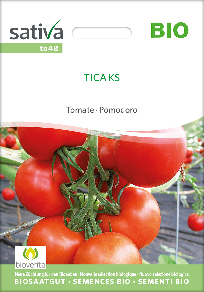 to48_tomate_tica_ks_bio_samen Tomate 'Tica KS' BIO Samen