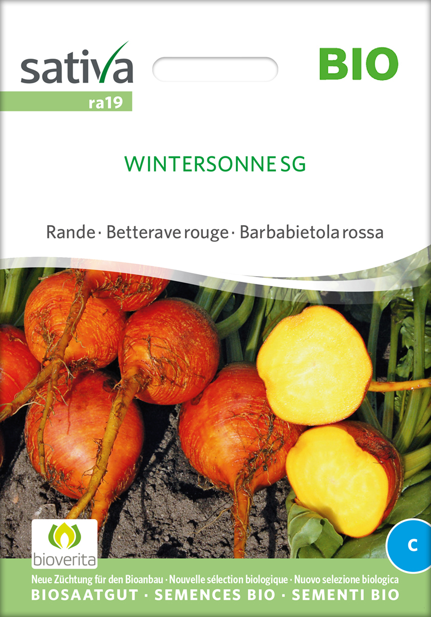 Gelbe Bete 'Wintersonne' BIO Samen