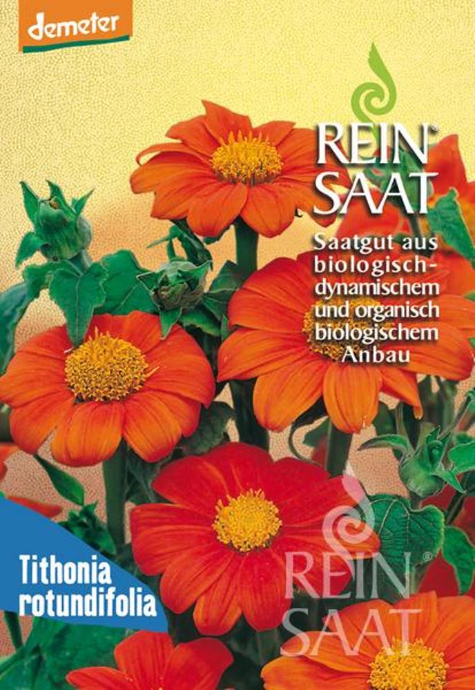 b088_mexikanische_sonnenblume_tithonia_ro_bio_samen Mexikanische Sonnenblume BIO Samen