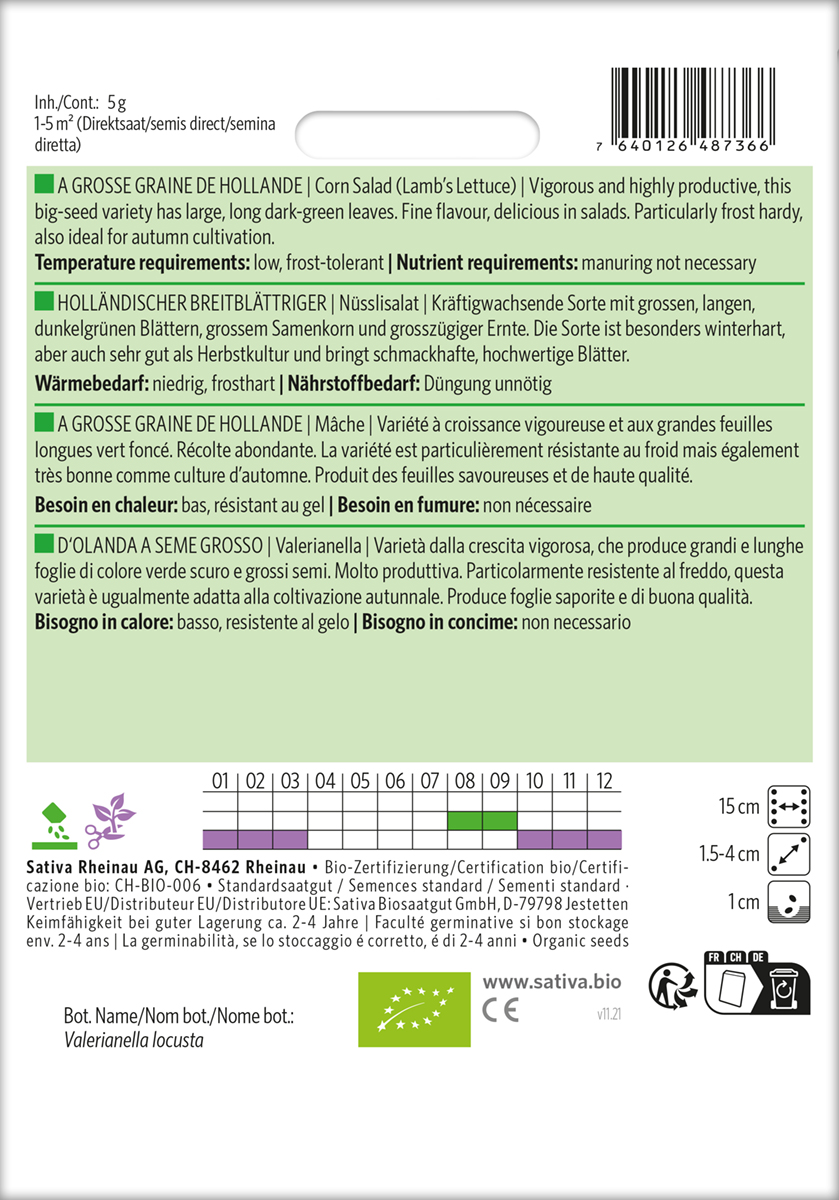 Feldsalat, Ackersalat, Nüsslisalat Holländischer Breitblättriger Bio Saatgut