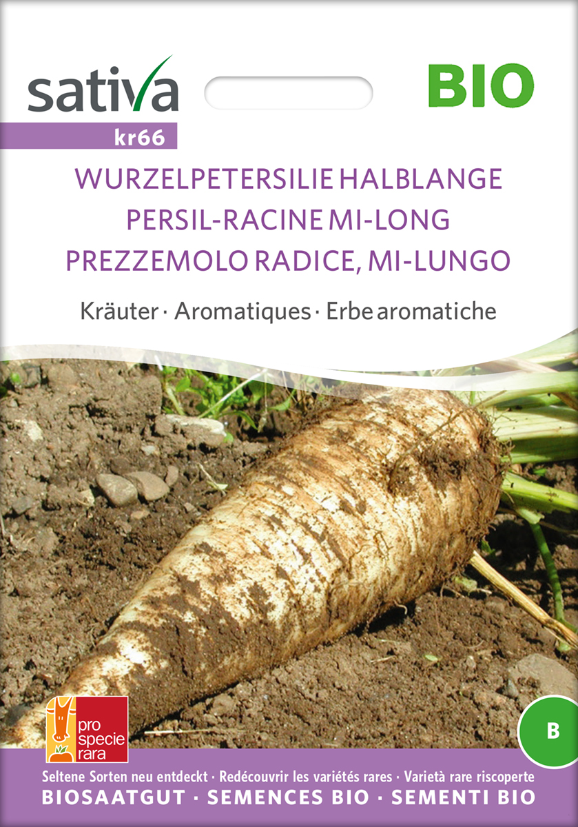 kr66_wurzelpetersilie_halblange_bio_samen Wurzelpetersilie Halblange Biosamen