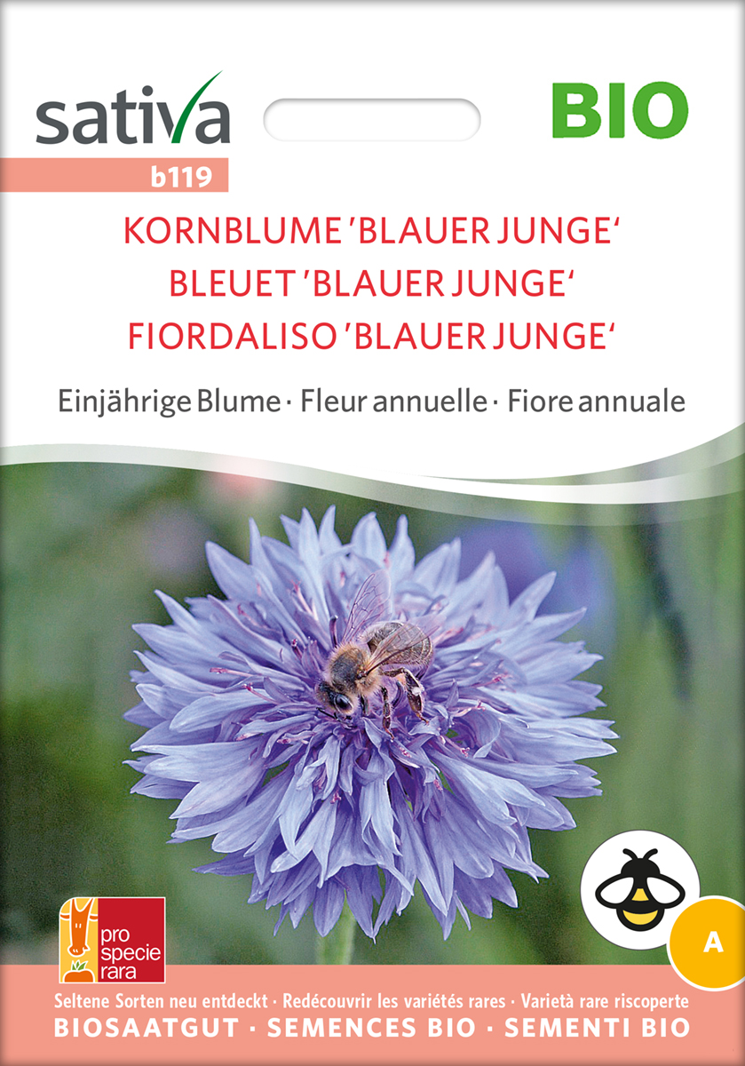 Kornblume Blauer Junge Bio Samen