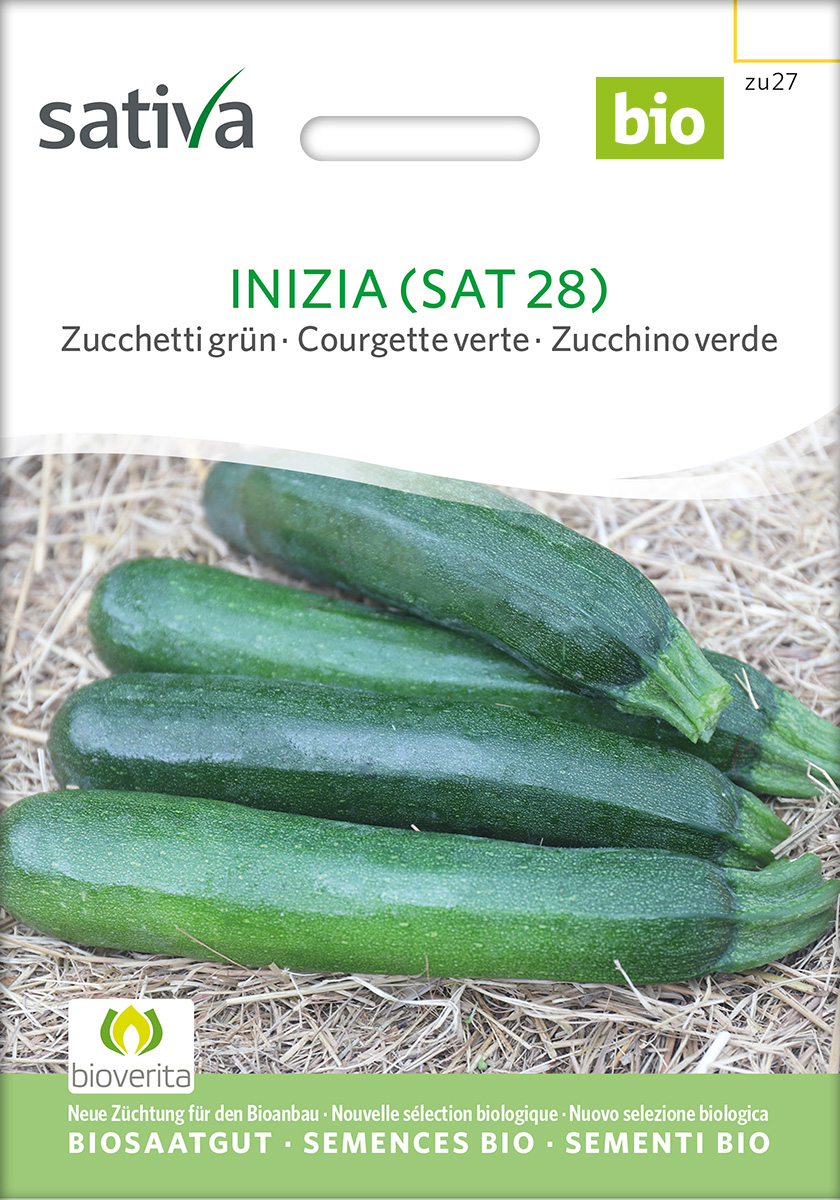 Zucchini Inizia BIO Samen