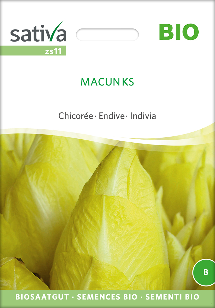 zs11_chicoree_macun_ks_bio_samen Chicorée Macun KS Samen