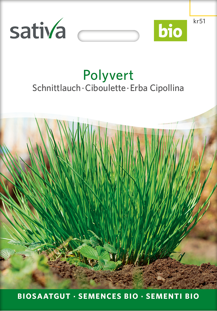 Schnittlauch BIO Samen