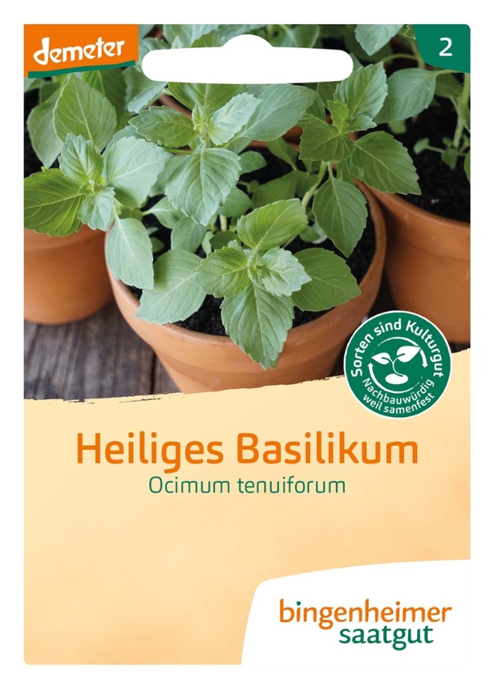 Heiliges Basilikum Tulsi BIO Samen