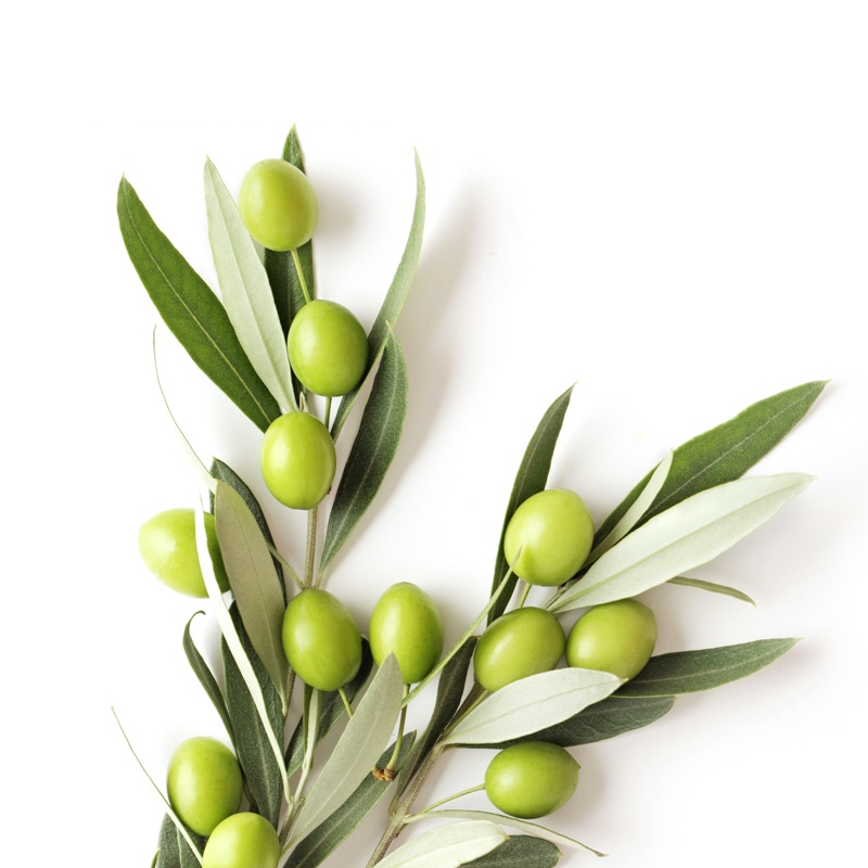 olivenoel_nativ_extra_bio