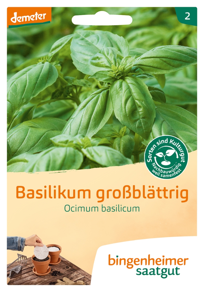 Basilikum großblättrig BIO Samen 5 Saatscheiben