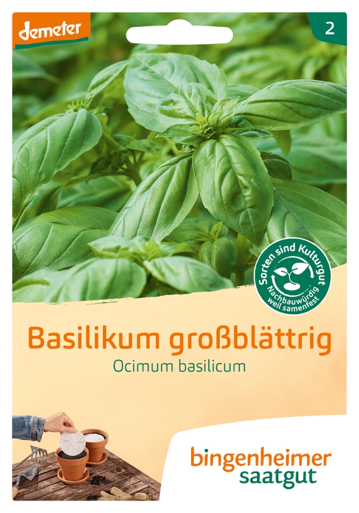 bio-basilikum-grossblaettrig-bingenheimer-saatgut-genoveser Basilikum großblättrig BIO Samen 5 Saatscheiben