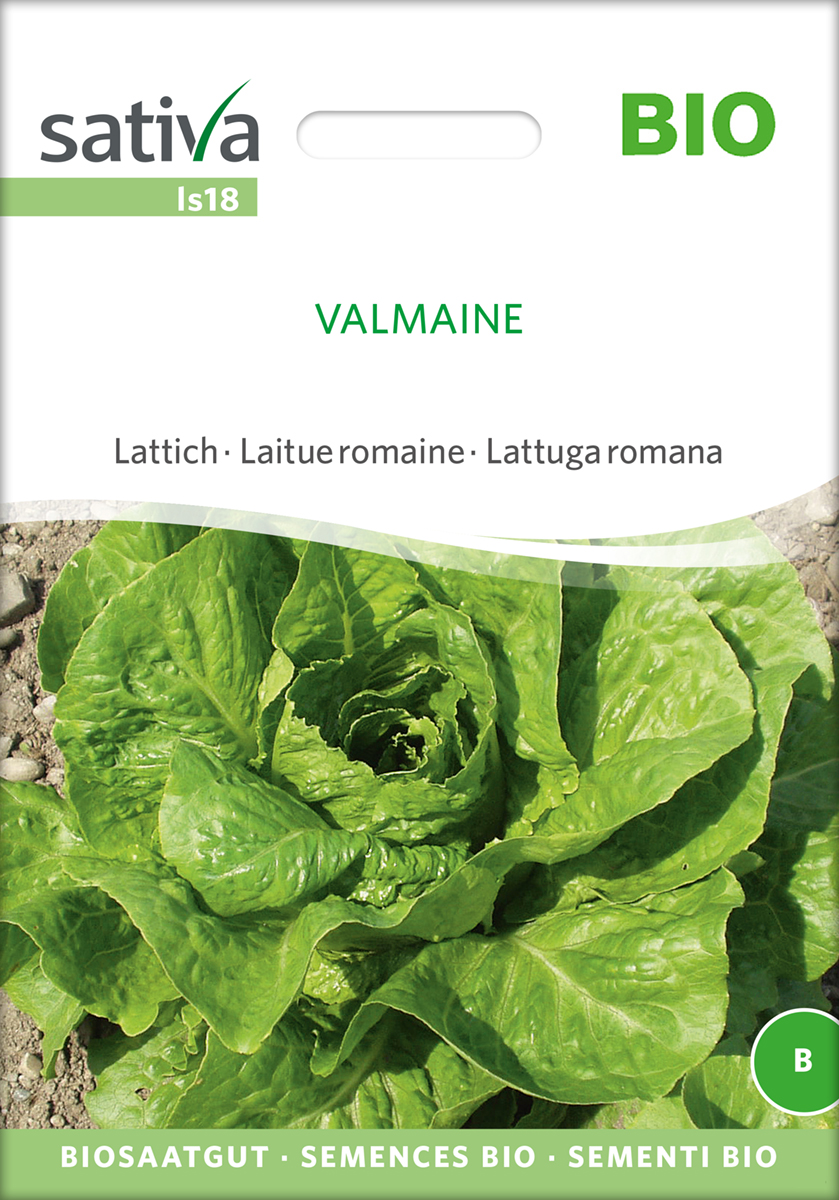 Lattich Valmaine Bio Samen