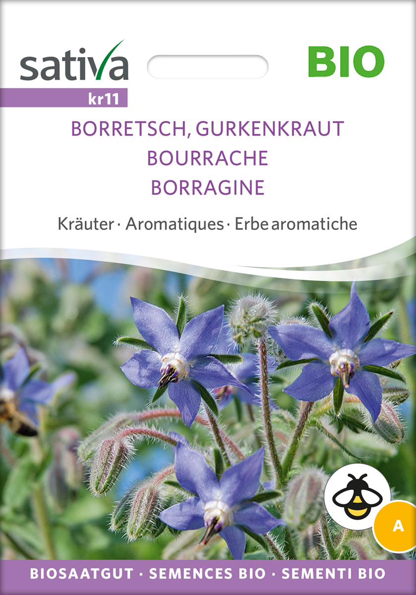 kr11_borretsch_gurkenkraut_bio_samen Borretsch Gurkenkraut Sativa