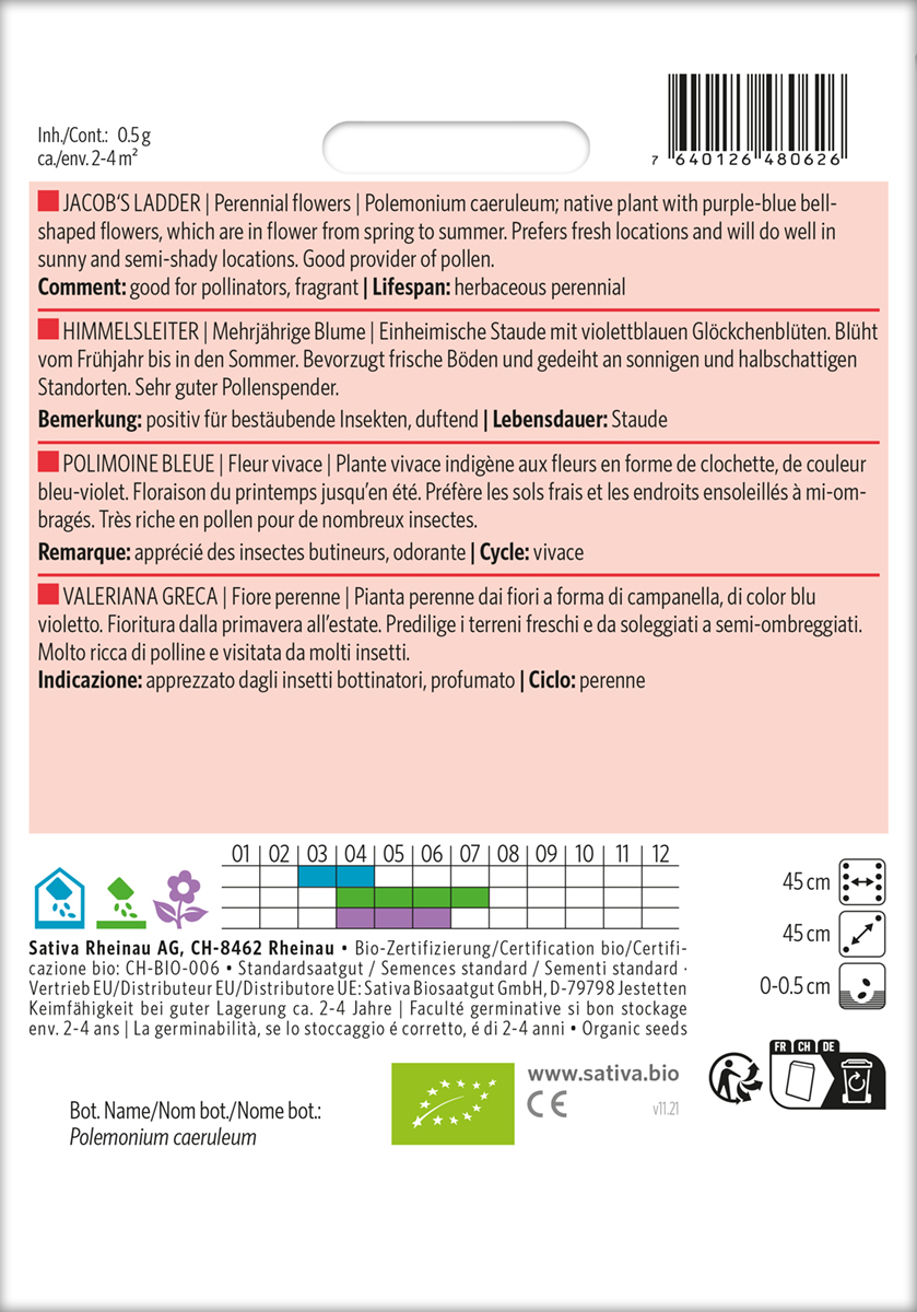 b557_himmelsleiter_jakobsleiter_samen_oeko Himmelsleiter, Jakobsleiter Biosamen