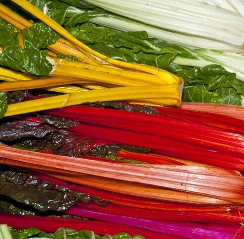 Mngold Stielmangold Biosamen