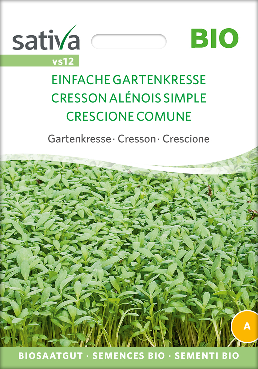 Einfache Gartenkresse Sativa