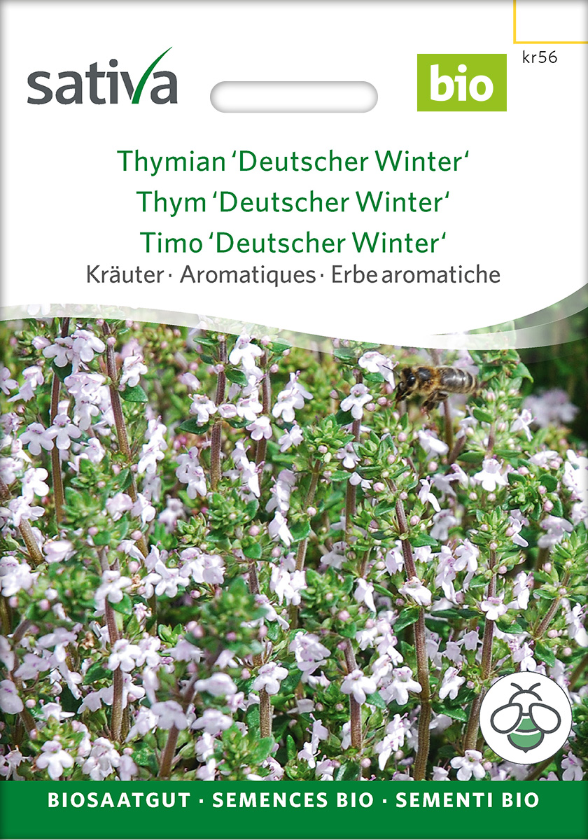 Thymian Deutscher Winter Samen BIO