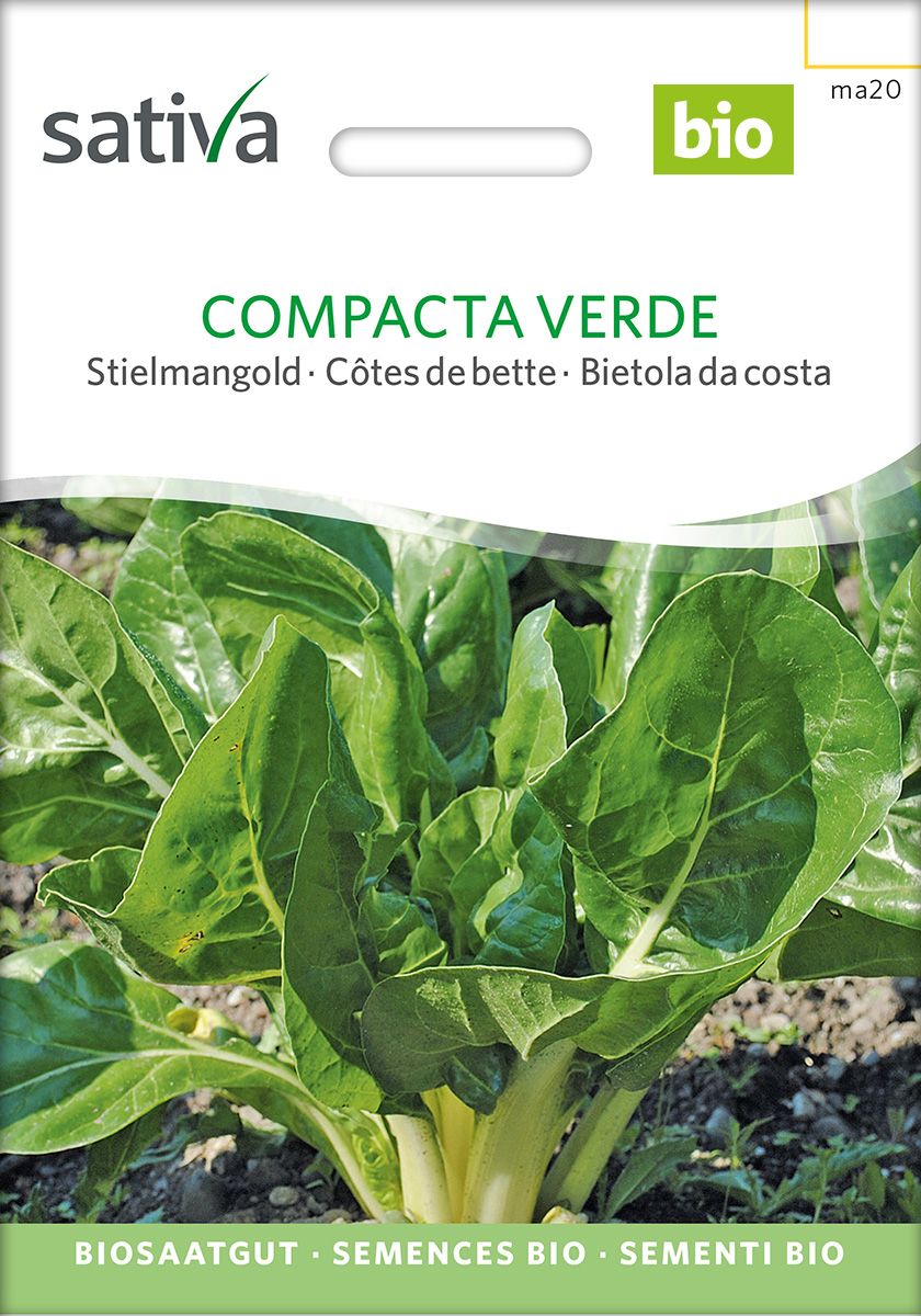 Mangold Compacta Verde Bio Samen