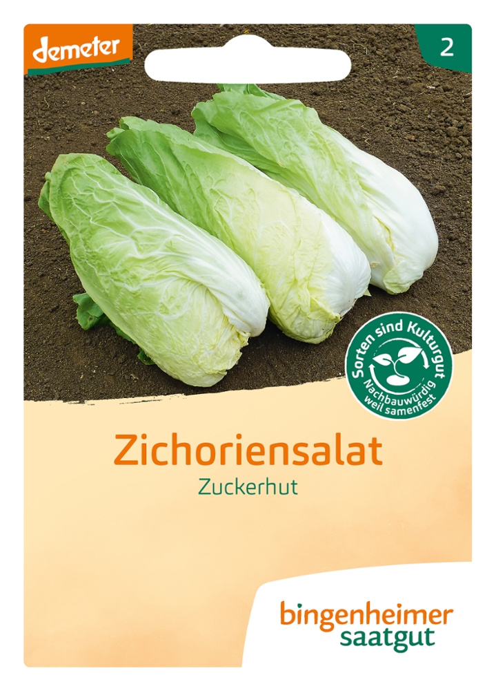 Zichoriensalat Zuckerhut Bio Samen