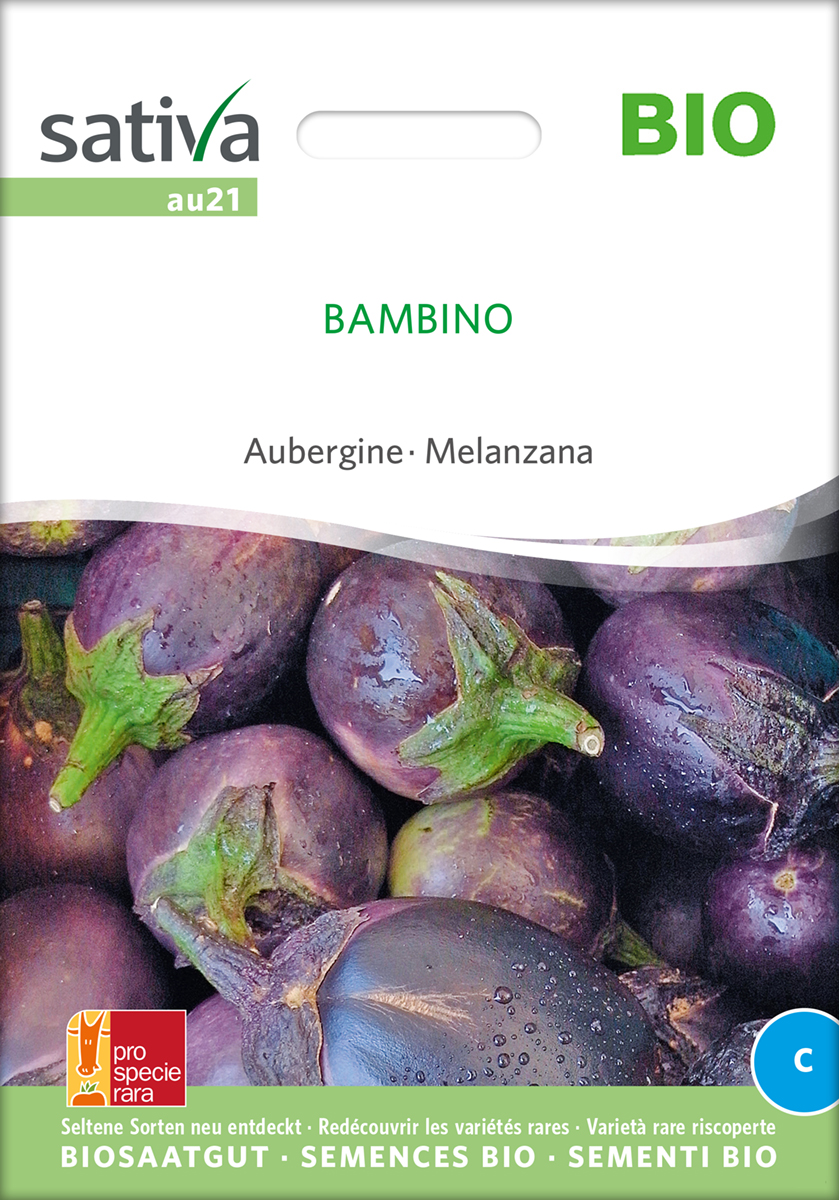 Aubergine Bambino BIO Samen