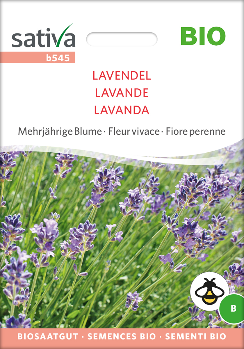 b545_lavendel_bio_samen Lavendel BIO Saatgut Sativa